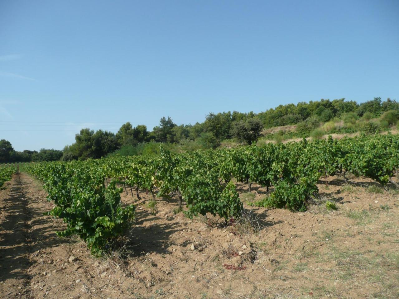 Gite Du Serre De Boudre Climatise, Spa Permanent Buisson Dış mekan fotoğraf